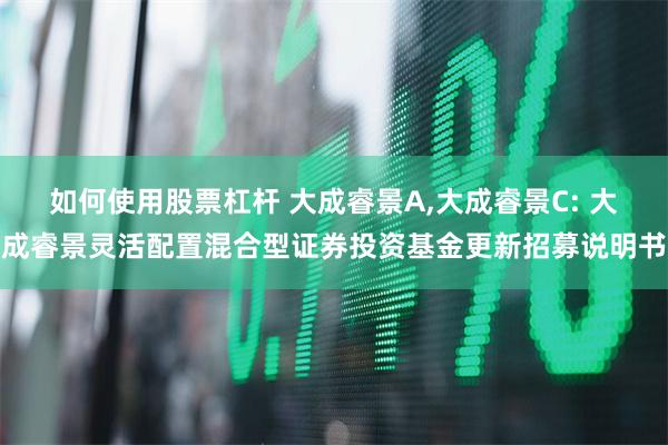 如何使用股票杠杆 大成睿景A,大成睿景C: 大成睿景灵活配置混合型证券投资基金更新招募说明书
