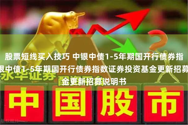 股票短线买入技巧 中银中债1-5年期国开行债券指数: 中银中债1-5年期国开行债券指数证券投资基金更新招募说明书