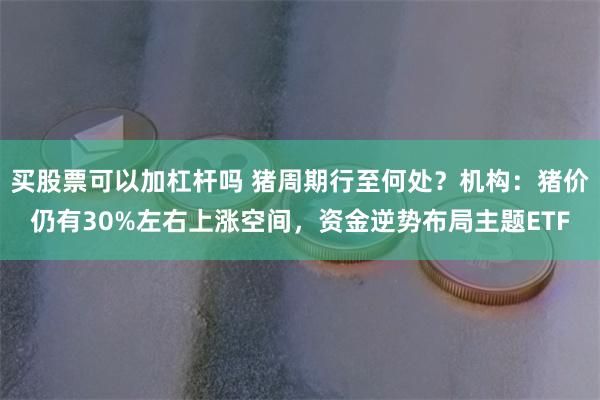买股票可以加杠杆吗 猪周期行至何处？机构：猪价仍有30%左右上涨空间，资金逆势布局主题ETF