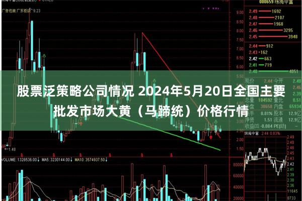 股票泛策略公司情况 2024年5月20日全国主要批发市场大黄（马蹄统）价格行情