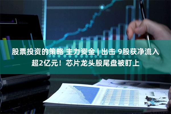 股票投资的策略 主力资金 | 出击 9股获净流入超2亿元！芯片龙头股尾盘被盯上