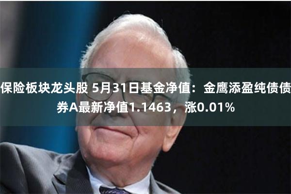 保险板块龙头股 5月31日基金净值：金鹰添盈纯债债券A最新净值1.1463，涨0.01%