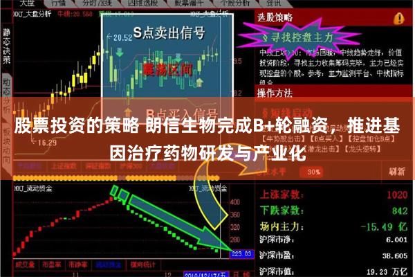 股票投资的策略 朗信生物完成B+轮融资，推进基因治疗药物研发与产业化