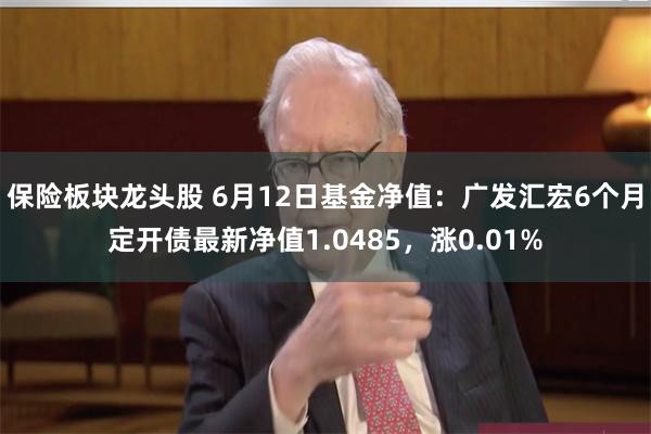 保险板块龙头股 6月12日基金净值：广发汇宏6个月定开债最新净值1.0485，涨0.01%