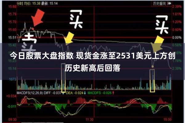 今日股票大盘指数 现货金涨至2531美元上方创历史新高后回落