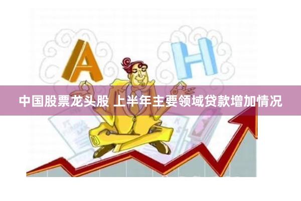 中国股票龙头股 上半年主要领域贷款增加情况