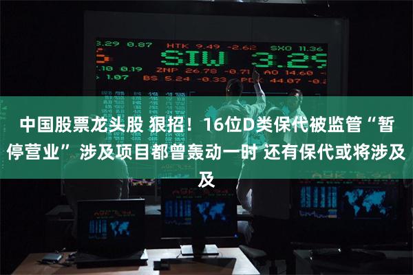 中国股票龙头股 狠招！16位D类保代被监管“暂停营业” 涉及项目都曾轰动一时 还有保代或将涉及