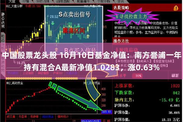 中国股票龙头股 10月10日基金净值：南方誉浦一年持有混合A最新净值1.0283，涨0.63%