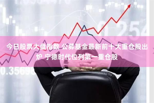 今日股票大盘指数 公募基金最新前十大重仓股出炉 宁德时代位列第一重仓股