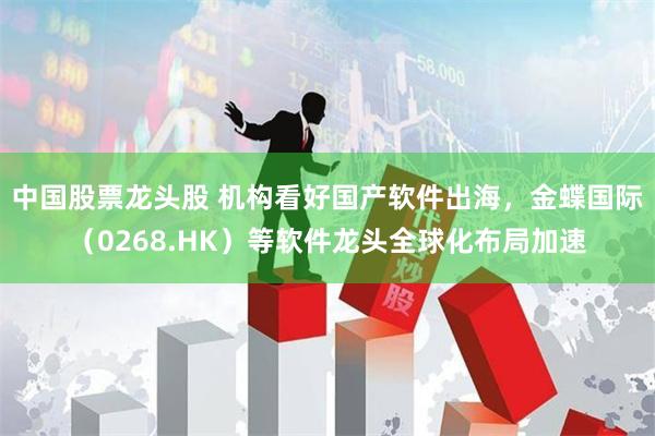 中国股票龙头股 机构看好国产软件出海，金蝶国际（0268.HK）等软件龙头全球化布局加速
