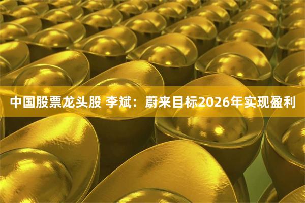 中国股票龙头股 李斌：蔚来目标2026年实现盈利