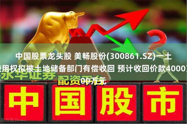 中国股票龙头股 美畅股份(300861.SZ)一土地使用权拟被土地储备部门有偿收回 预计收回价款4000万元