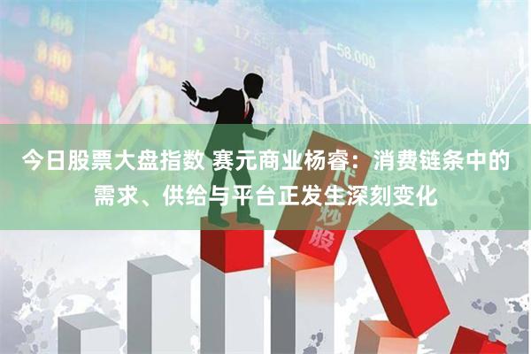 今日股票大盘指数 赛元商业杨睿：消费链条中的需求、供给与平台正发生深刻变化