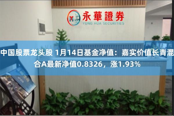 中国股票龙头股 1月14日基金净值：嘉实价值长青混合A最新净值0.8326，涨1.93%